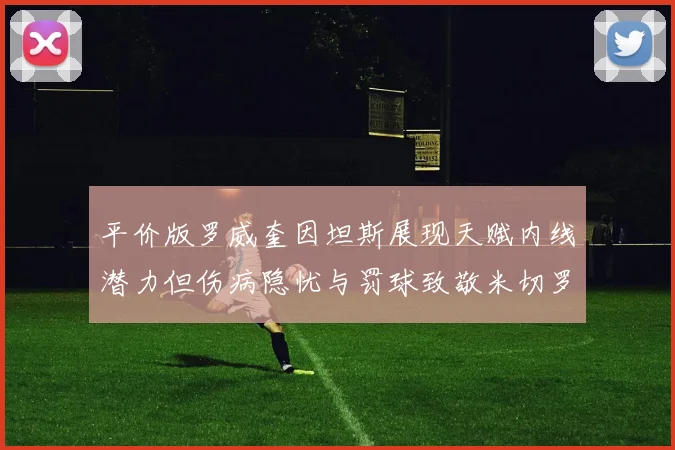 平价版罗威奎因坦斯展现天赋内线潜力但伤病隐忧与罚球致敬米切罗