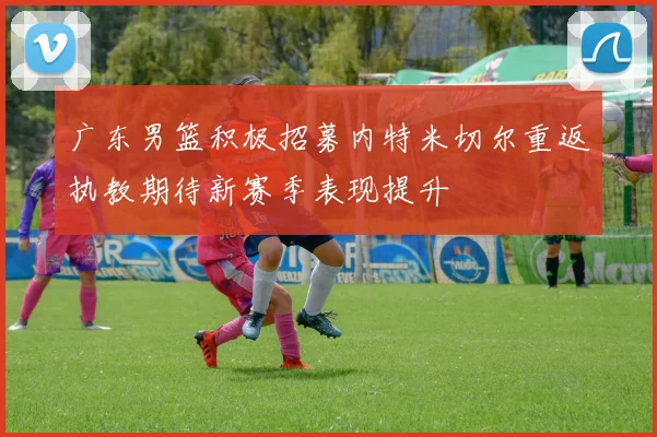 广东男篮积极招募内特米切尔重返执教期待新赛季表现提升